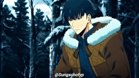 Solo Leveling Sung GIF