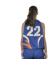Damenbaskets basketball dbb dbb damenbaskets damenbaskets Sticker