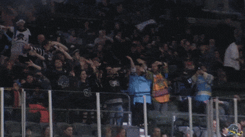 Happy The Wave GIF by Quad City Storm