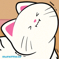 Gym Stretch GIF by Silly Kitties