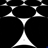 black and white optical illusion GIF by The New Big Poppa E