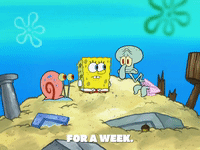 season 8 GIF by SpongeBob SquarePants