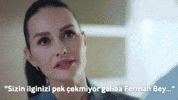 Fox Foxturkiye GIF by NOW