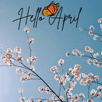 Happy April GIF by Maria Johnsen