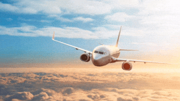 flying the plane