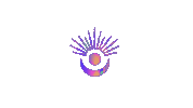 Gradient Sticker by Ultreia Vida