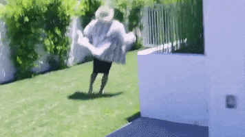 scamming joanne the scammer GIF