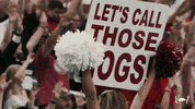 College Football GIF by Arkansas Razorbacks