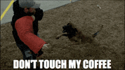 mbest11x coffee or die GIF by Black Rifle Coffee Company