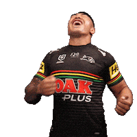 Nrl Sticker by Penrith Panthers