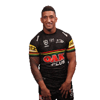 Nrl Sticker by Penrith Panthers