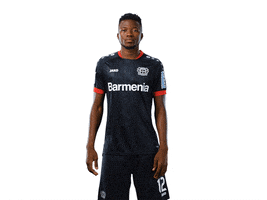 Bayer 04 Werkself GIF by Bayer 04 Leverkusen