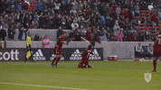 rslmarketing soccer celebration mls major league soccer GIF