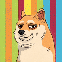 Shiba Inu Dog GIF by Doge Pound