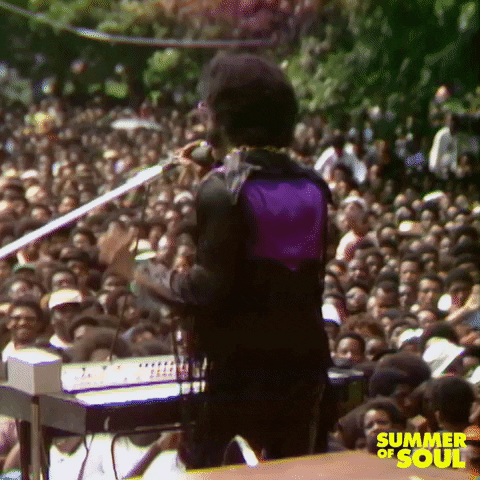 Sly And The Family Stone Concert GIF by HULU