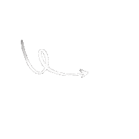 anaagudeloo arrow minimal arrows flecha Sticker