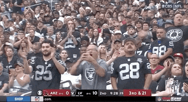 Las Vegas Raiders Football GIF by NFL