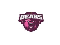 Bear Sticker by F45 Training Kemang