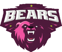 Bears F45 Sticker by F45SanMateo