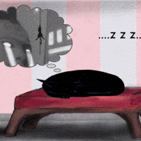 Black Cat Dreaming GIF