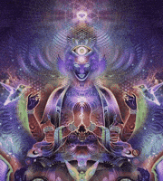 whoa shiva GIF