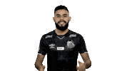 Santosfc Sticker by Santos Futebol Clube