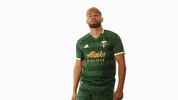Portland Timbers GIF by Timbers