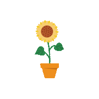 Sol Flor Sticker