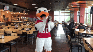 FollowStevens excited clap congrats congratulations GIF