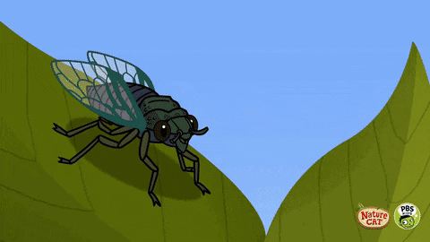 aleoxth giphygifmaker giphyattribution GIF
