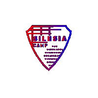 Floorball Salibandy Sticker by silesiafloorballcamp