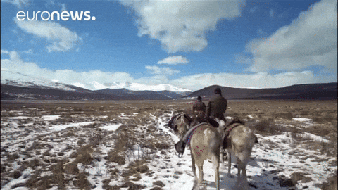Mongolia Douhka GIF by euronews