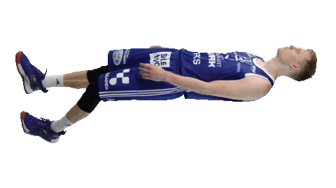Sport Basketball Sticker by Basket_fi