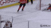 Ice Hockey Sport GIF by NHL