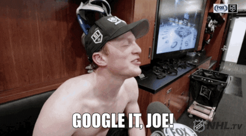 google it ice hockey GIF by NHL