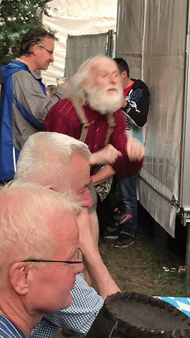 giphy.gif