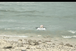 In The Water Swimming GIF
