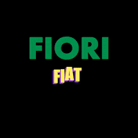 GIF by Fiori Fiat