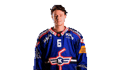 Sport Celebration Sticker by EHC Kloten