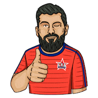 FCSKA football cool like beard Sticker