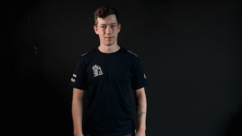 Vikings Counterstrike GIF by Lyngby eSport