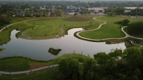 moncuspark giphyupload GIF