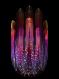 MarkWBallard cool abstract wild animator GIF