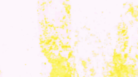 florida sanford GIF