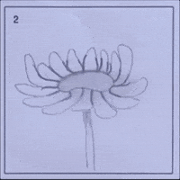 Digital illustration gif. Flip-book style images show the stages of a flower blooming with numbers in the top corner that change from 1 to 8. 