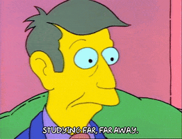 Season 1 GIF by The Simpsons