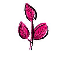 Rosa Ojas Sticker