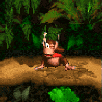 1jps gaming 90s snes dk GIF