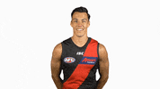 essendonfc bombers dons essendon essendon fc GIF