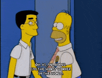 homer simpson episode 23 GIF